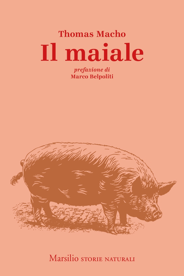Il maiale - Librerie.coop Il maiale - Librerie.coop