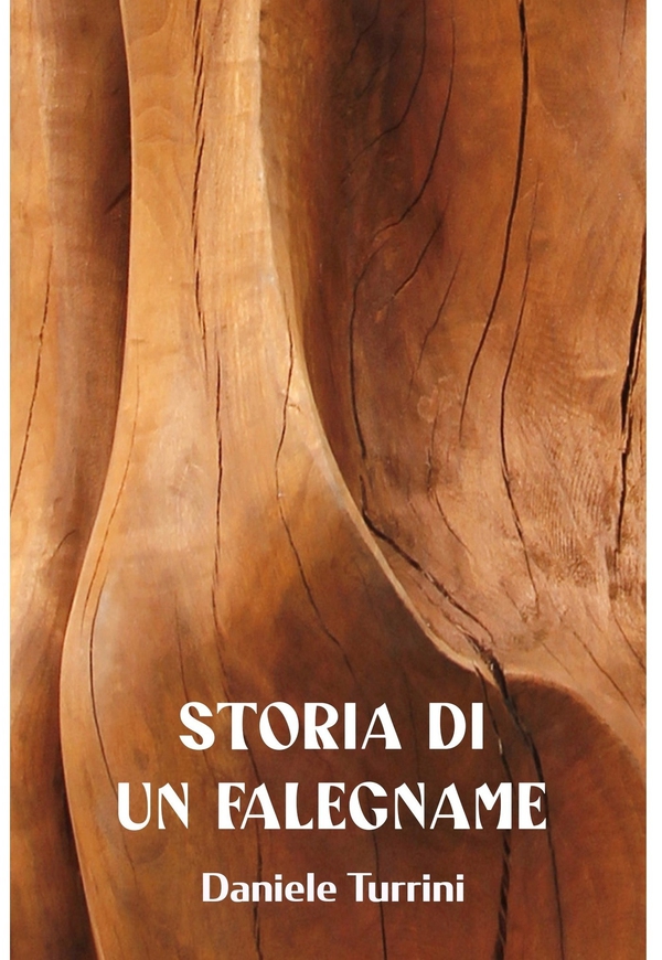 STORIA DI UN FALEGNAME - Librerie.coop