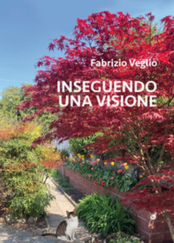 Inseguendo una visione - Librerie.coop Inseguendo una visione - Librerie.coop
