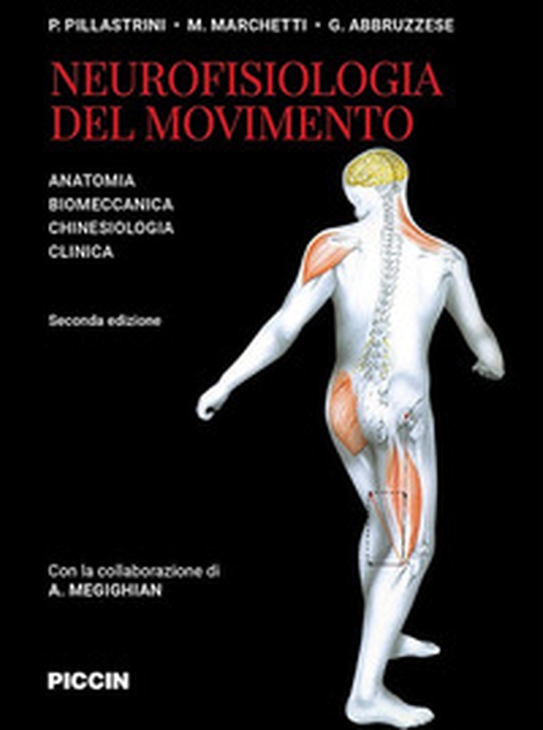 Neurofisiologia del movimento. Anatomia, biomeccanica, chinesiologia, clinica - Librerie.coop Neurofisiologia del movimento. Anatomia, biomeccanica, chinesiologia, clinica - Librerie.coop
