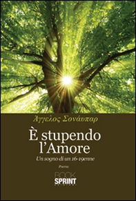 È stupendo l'amore - Librerie.coop