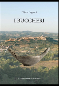 Velzna. Lo scavo di Campo della Fiera di Orvieto - Librerie.coop