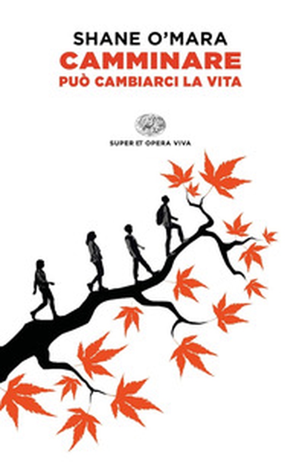 Camminare può cambiarci la vita - Librerie.coop Camminare può cambiarci la vita - Librerie.coop