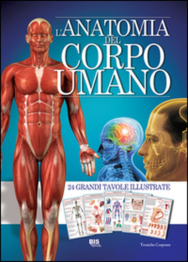 L'anatomia del corpo umano - Librerie.coop L'anatomia del corpo umano - Librerie.coop