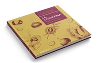 La castagna. Origine, lavorazione e significato in Alto Adige - Librerie.coop