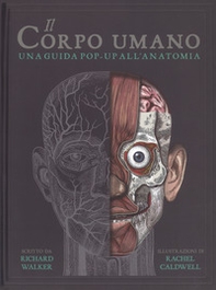 Il corpo umano. Una guida pop-up all'anatomia - Librerie.coop