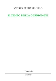 Il tempo della guarigione - Librerie.coop