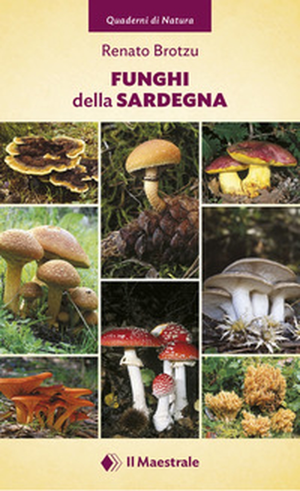 Funghi della Sardegna - Librerie.coop Funghi della Sardegna - Librerie.coop