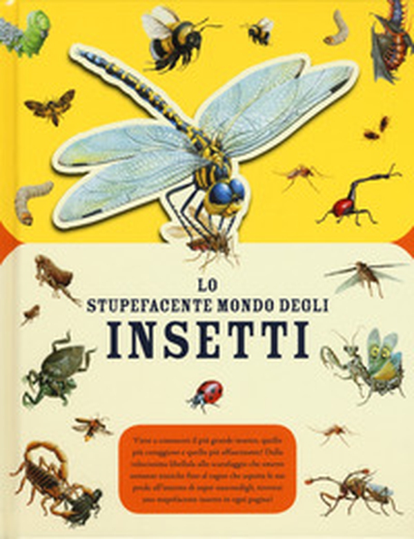 Lo stupefacente mondo degli insetti - Librerie.coop Lo stupefacente mondo degli insetti - Librerie.coop