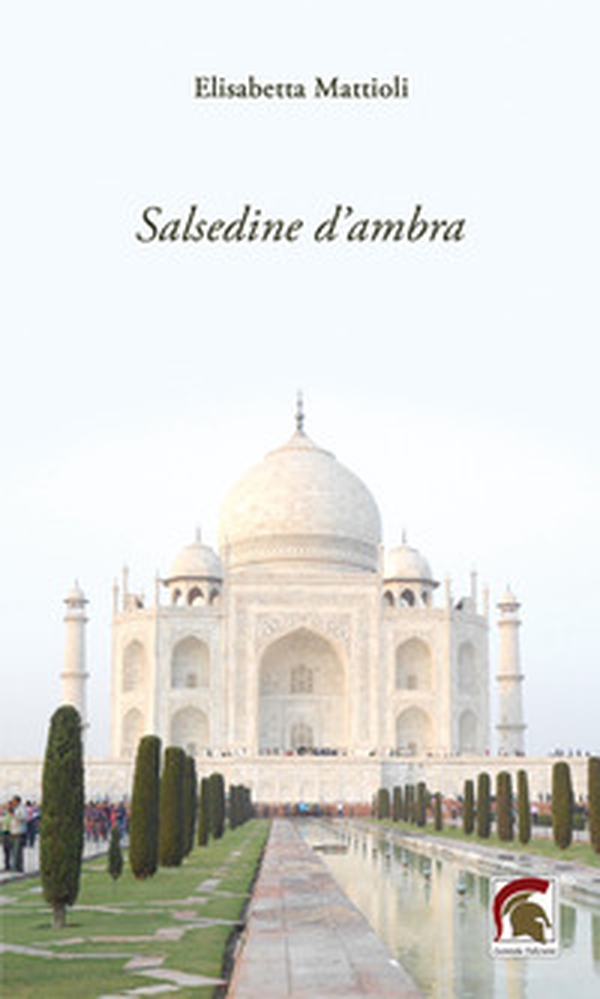 Salsedine d'ambra - Librerie.coop Salsedine d'ambra - Librerie.coop