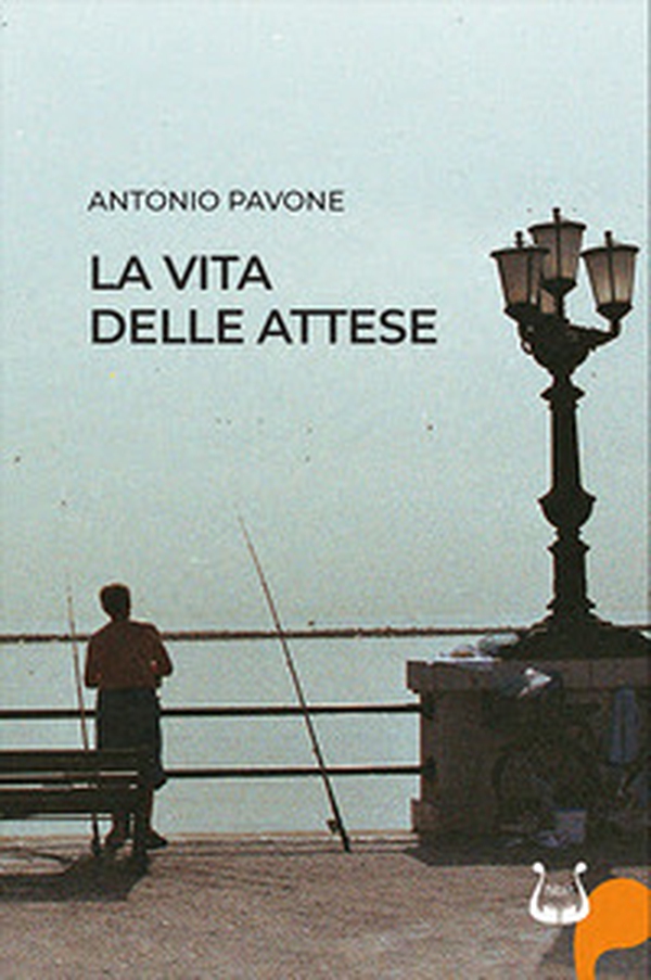 La vita delle attese - Librerie.coop