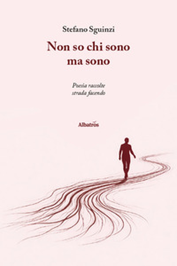 Non so chi sono ma sono. Poesie raccolte strada facendo - Librerie.coop
