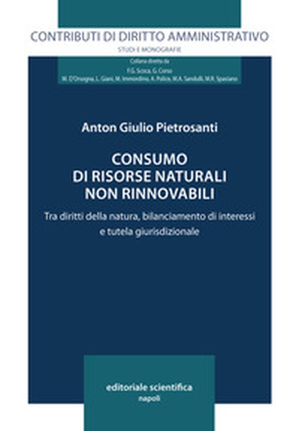 Consumo di risorse naturali non rinnovabili. Tra diritti della natura, bilanciamento di interessi e tutela giurisdizionale - Librerie.coop Consumo di risorse naturali non rinnovabili. Tra diritti della natura, bilanciamento di interessi e tutela giurisdizionale - Librerie.coop