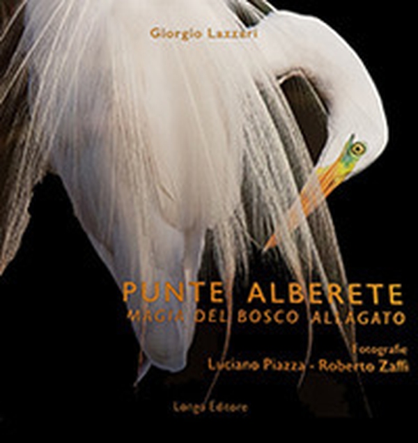 Punte Alberete. Magia del bosco allagato - Librerie.coop Punte Alberete. Magia del bosco allagato - Librerie.coop