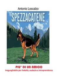 Spezzacatene - Librerie.coop