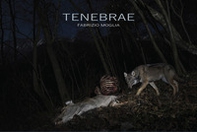 Tenebrae - Librerie.coop