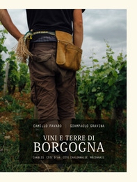 Vini e terre di Borgogna. Chablis, Côte d'Or, Côte Chalonnaise, Mâconnais - Librerie.coop