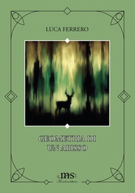 Geometria di un abisso - Librerie.coop