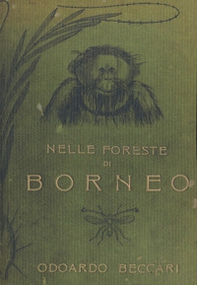 Nelle foreste di Borneo - Librerie.coop
