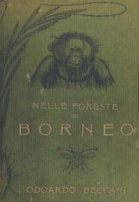 Nelle foreste di Borneo - Librerie.coop Nelle foreste di Borneo - Librerie.coop