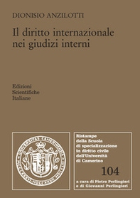 Il diritto internazionale nei giudizi interni - Librerie.coop