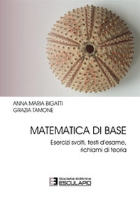 Matematica di base. Esercizi svolti, testi d'esame, richiami di teoria - Librerie.coop Matematica di base. Esercizi svolti, testi d'esame, richiami di teoria - Librerie.coop