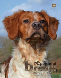 L'épagneul breton - Librerie.coop
