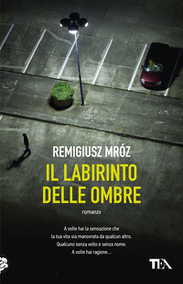 Il labirinto delle ombre - Librerie.coop Il labirinto delle ombre - Librerie.coop