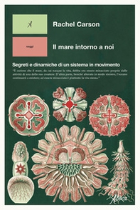 Il mare intorno a noi. Segreti e dinamiche di un sistema in movimento - Librerie.coop