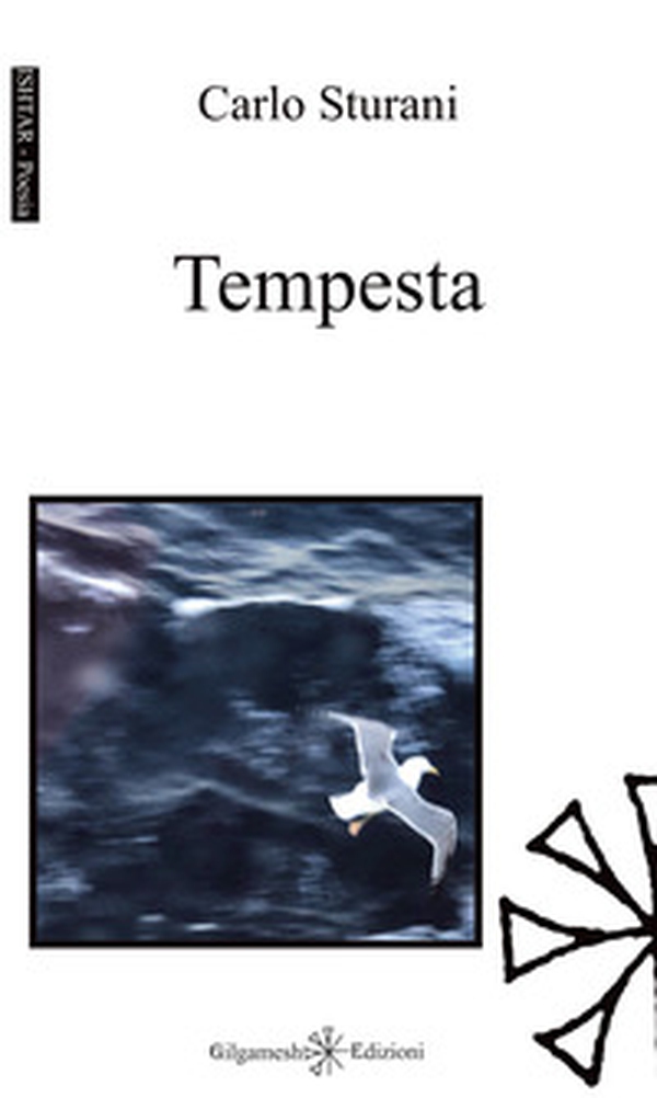 Tempesta - Librerie.coop Tempesta - Librerie.coop