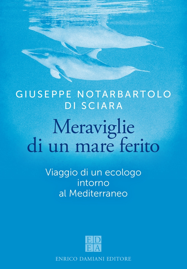 Meraviglie di un mare ferito - Librerie.coop Meraviglie di un mare ferito - Librerie.coop