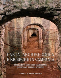 Carta archeologica e ricerche in Campania - Vol. 9 - Librerie.coop