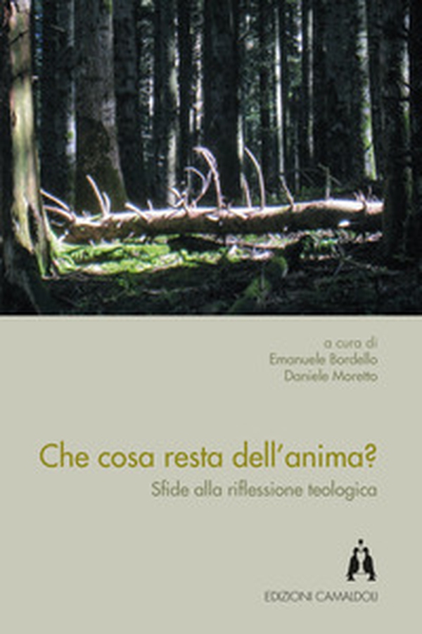 Che cosa resta dell'anima? Sfide alla riflessione teologica - Librerie.coop Che cosa resta dell'anima? Sfide alla riflessione teologica - Librerie.coop