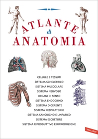 Atlante di anatomia - Librerie.coop