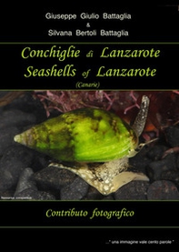 Conchiglie di Lanzarote-Seashells of Lanzarote - Librerie.coop