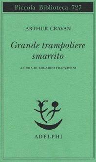Grande trampoliere smarrito - Librerie.coop
