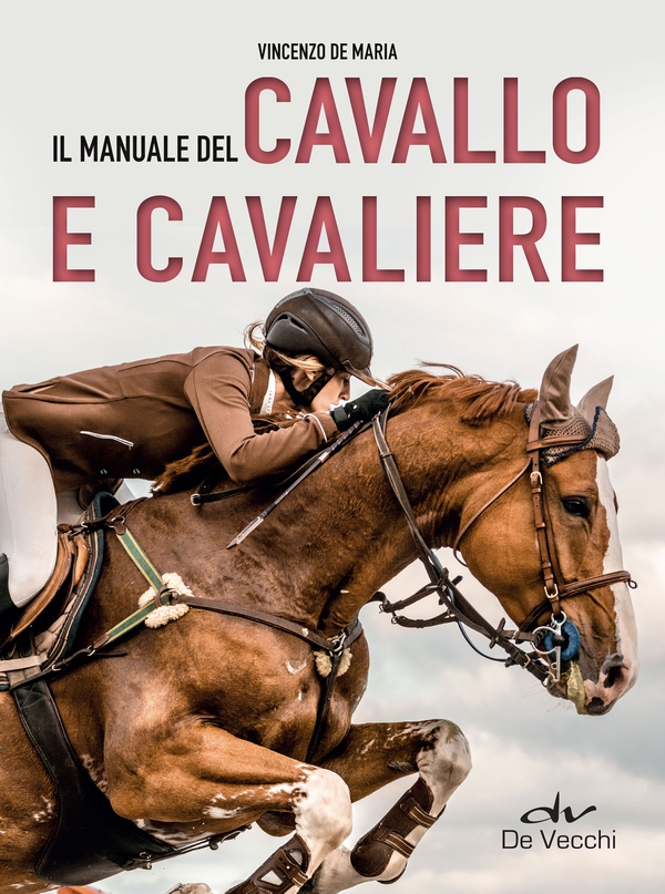 Il manuale del cavallo e cavaliere - Librerie.coop Il manuale del cavallo e cavaliere - Librerie.coop