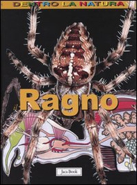 Il ragno - Librerie.coop