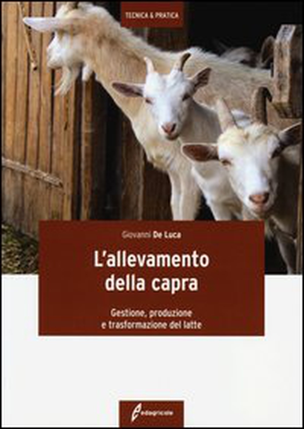 L'allevamento della capra. Gestione, produzione e trasformazione del latte - Librerie.coop L'allevamento della capra. Gestione, produzione e trasformazione del latte - Librerie.coop