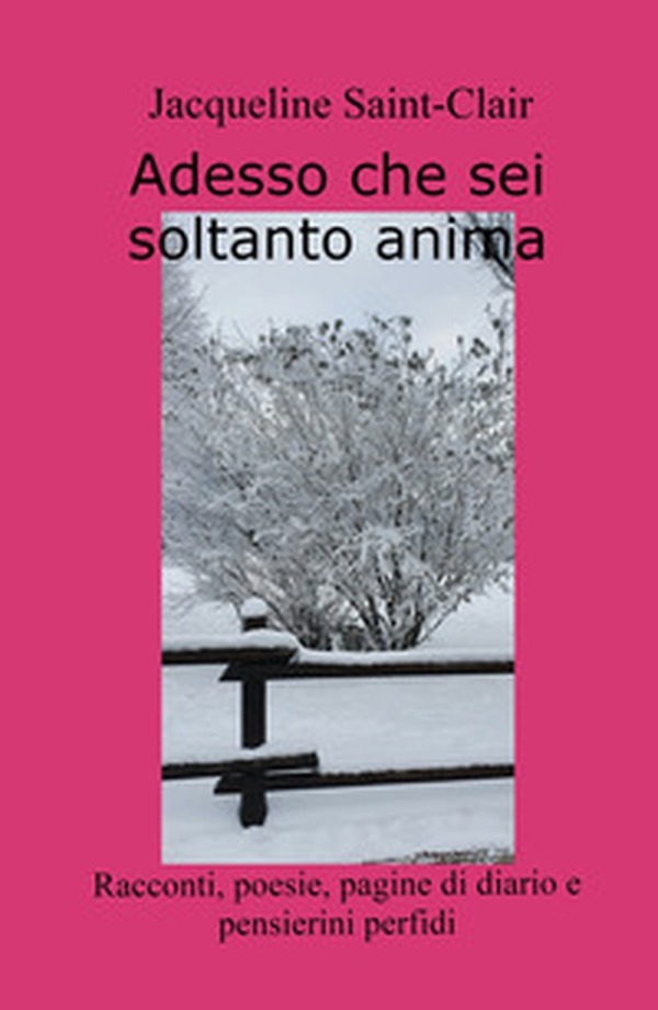 Adesso che sei soltanto anima. Racconti, poesie, pagine di diario e pensierini perfidi - Librerie.coop Adesso che sei soltanto anima. Racconti, poesie, pagine di diario e pensierini perfidi - Librerie.coop