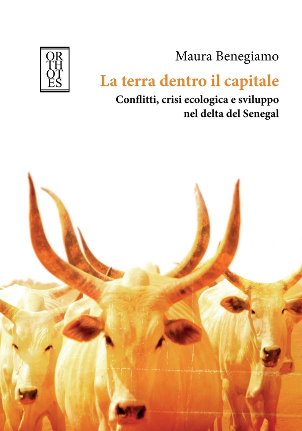 La terra dentro il capitale. Conflitti, crisi ecologica e sviluppo nel delta del Senegal - Librerie.coop La terra dentro il capitale. Conflitti, crisi ecologica e sviluppo nel delta del Senegal - Librerie.coop