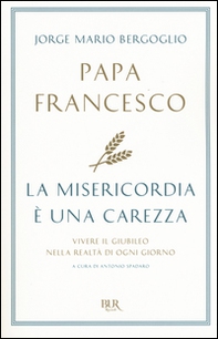 La misericordia è una carezza. Vivere il giubileo nella realtà di ogni giorno - Librerie.coop