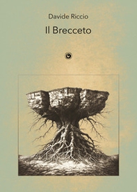 Il Brecceto. Poesie scritte ad Ariano Irpino e per la Campania tra il 1998 e il 2023 - Librerie.coop