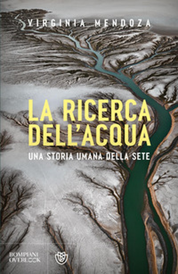 La ricerca dell'acqua. Una storia umana della sete - Librerie.coop