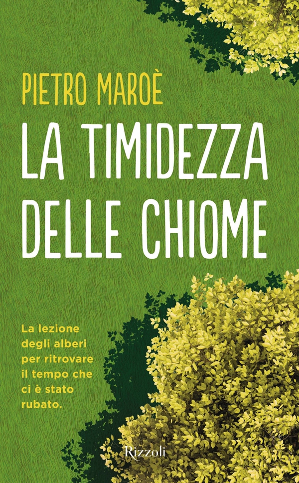La timidezza delle chiome - Librerie.coop La timidezza delle chiome - Librerie.coop
