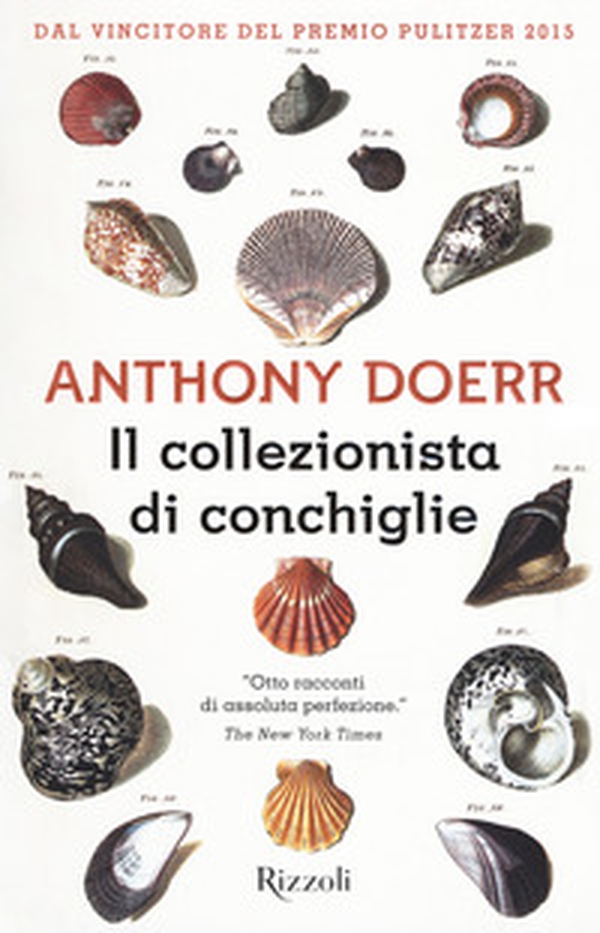 Il collezionista di conchiglie - Librerie.coop Il collezionista di conchiglie - Librerie.coop