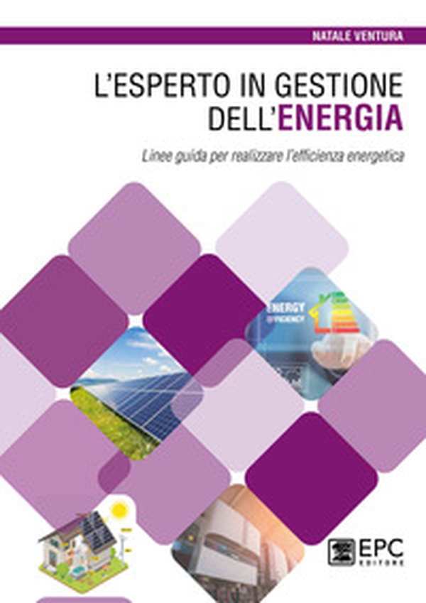 L'esperto in gestione dell'energia. Linee guida per realizzare l'efficienza energetica - Librerie.coop L'esperto in gestione dell'energia. Linee guida per realizzare l'efficienza energetica - Librerie.coop