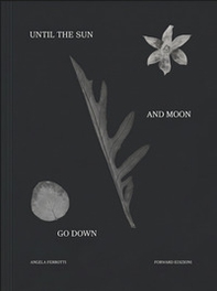 Until the sun and moon go down - Librerie.coop