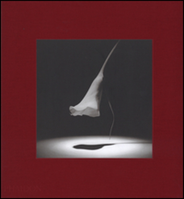 Robert Mapplethorpe. Flora. The complete flowers - Librerie.coop Robert Mapplethorpe. Flora. The complete flowers - Librerie.coop