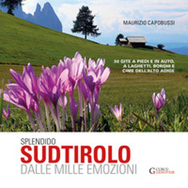 Splendido Sudtirolo dalle mille emozioni. 30 gite a piedi e in auto, a laghetti, borghi e cime dell'Alto Adige - Librerie.coop Splendido Sudtirolo dalle mille emozioni. 30 gite a piedi e in auto, a laghetti, borghi e cime dell'Alto Adige - Librerie.coop
